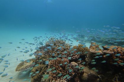 pulau weh diving