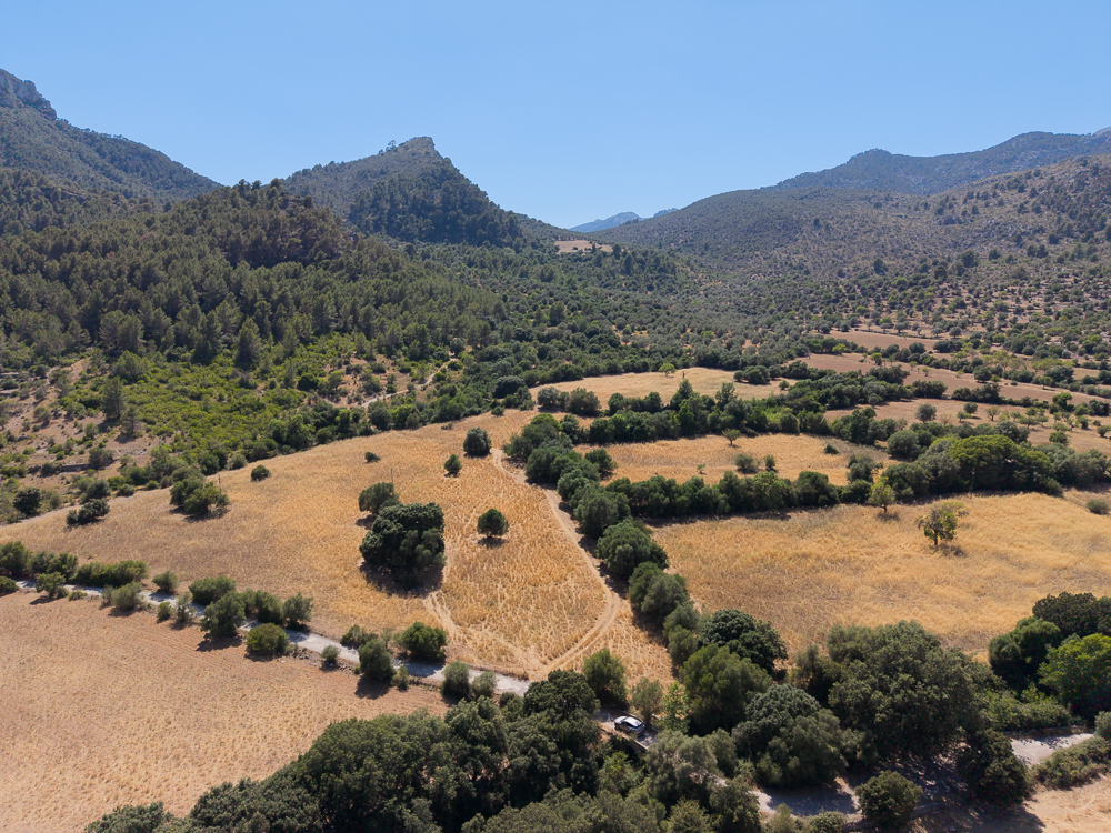 huurauto Mallorca