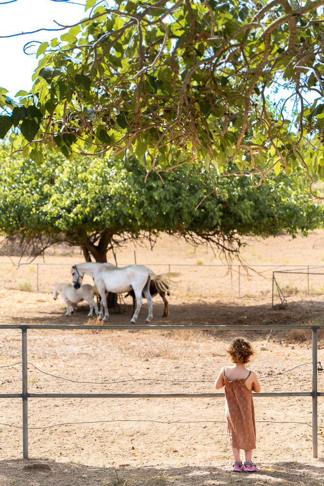 kindvriendelijke accommodatie Mallorca