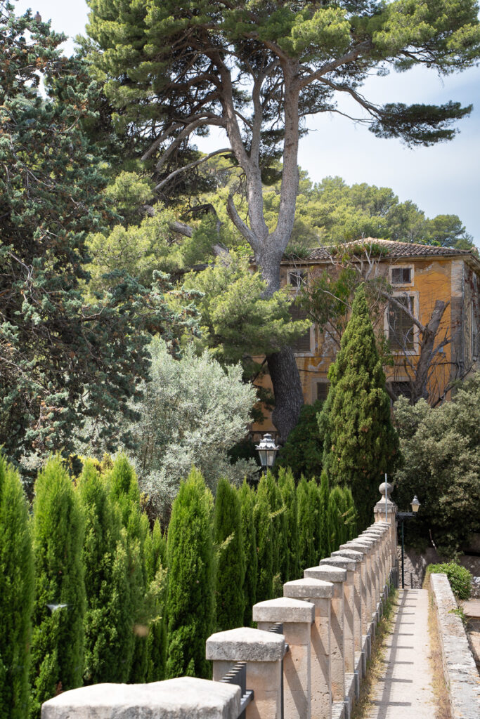 Valldemossa