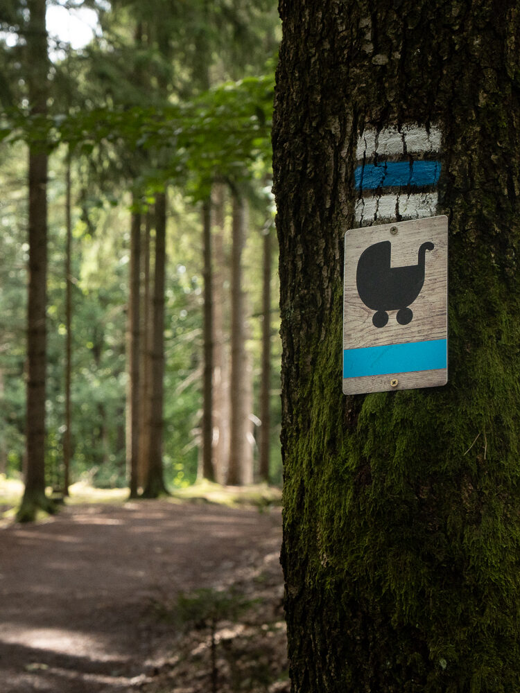 Boheems paradijs met kinderen