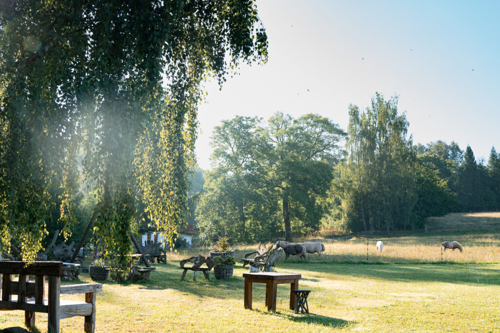 Noord Bohemen